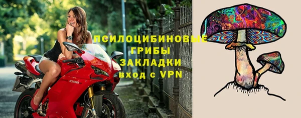 дживик Покачи