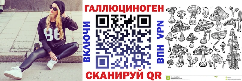 сколько стоит  Вытегра  OMG как зайти  Галлюциногенные грибы Cubensis 